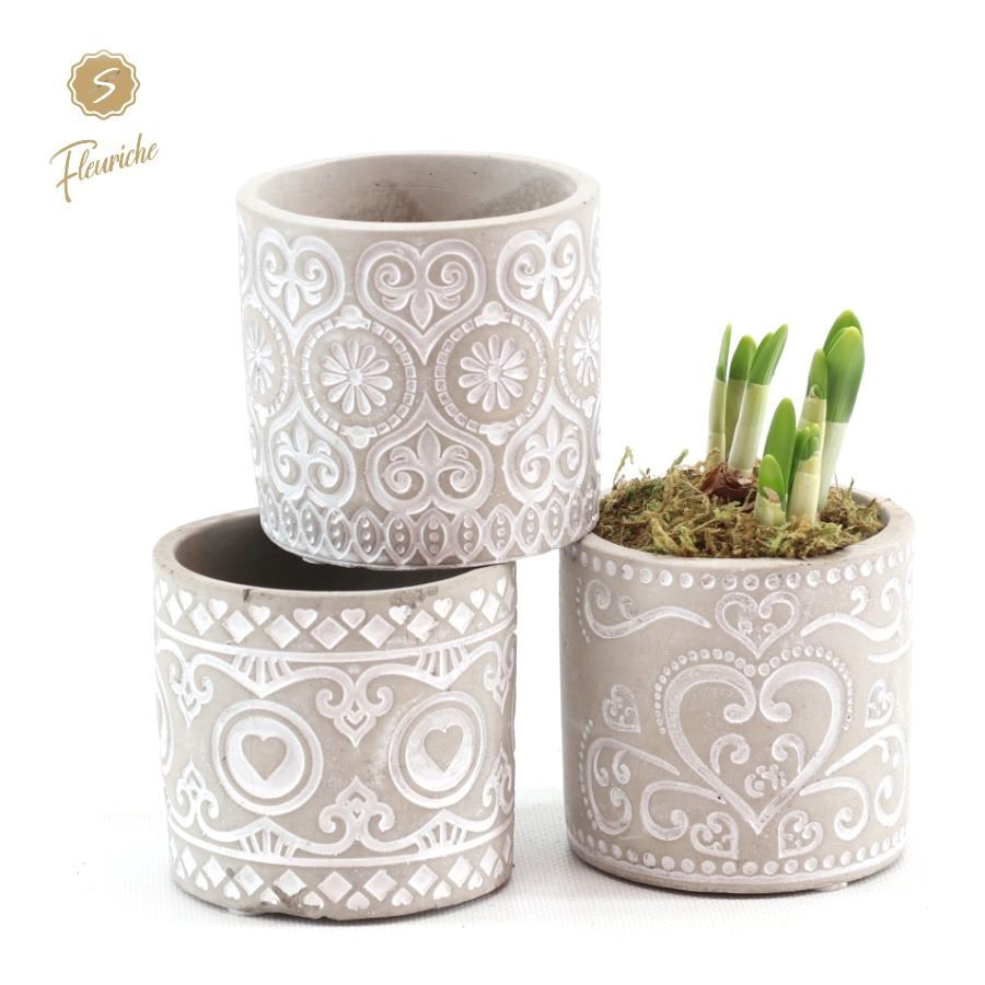 (1915) Narcissus Verona [M] 1PP Mos, D 9