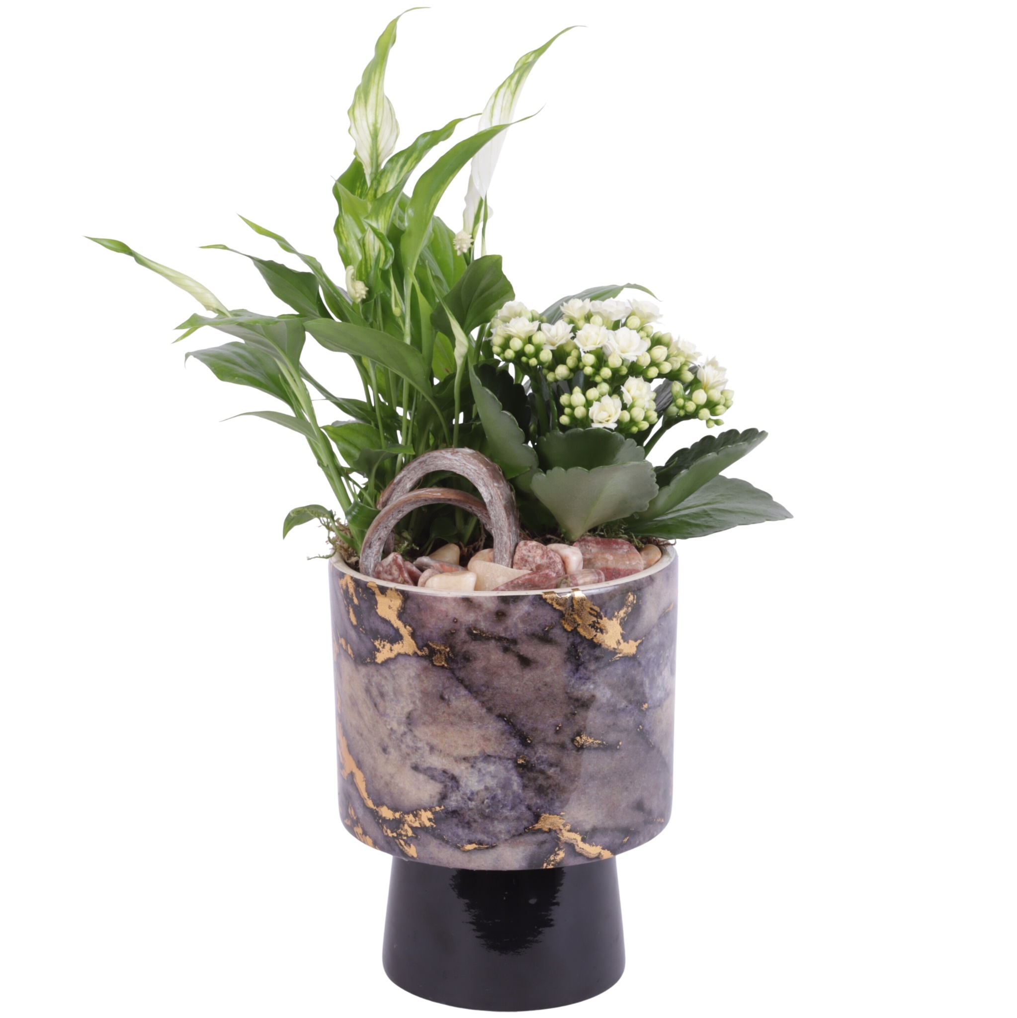 Yearround Arr. Indoor Ceramic Pure Luxury PL672 Ø14cm 2PP, D 14