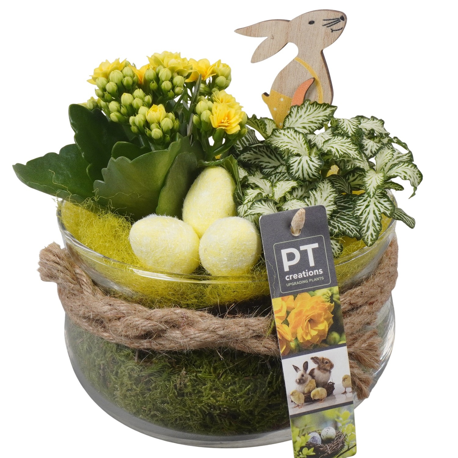 PTPG9301 Arrangement Easter in glasschaal, D 16