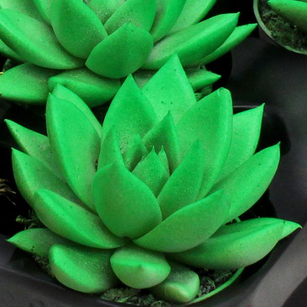 Miranda coloured neon green, D 6