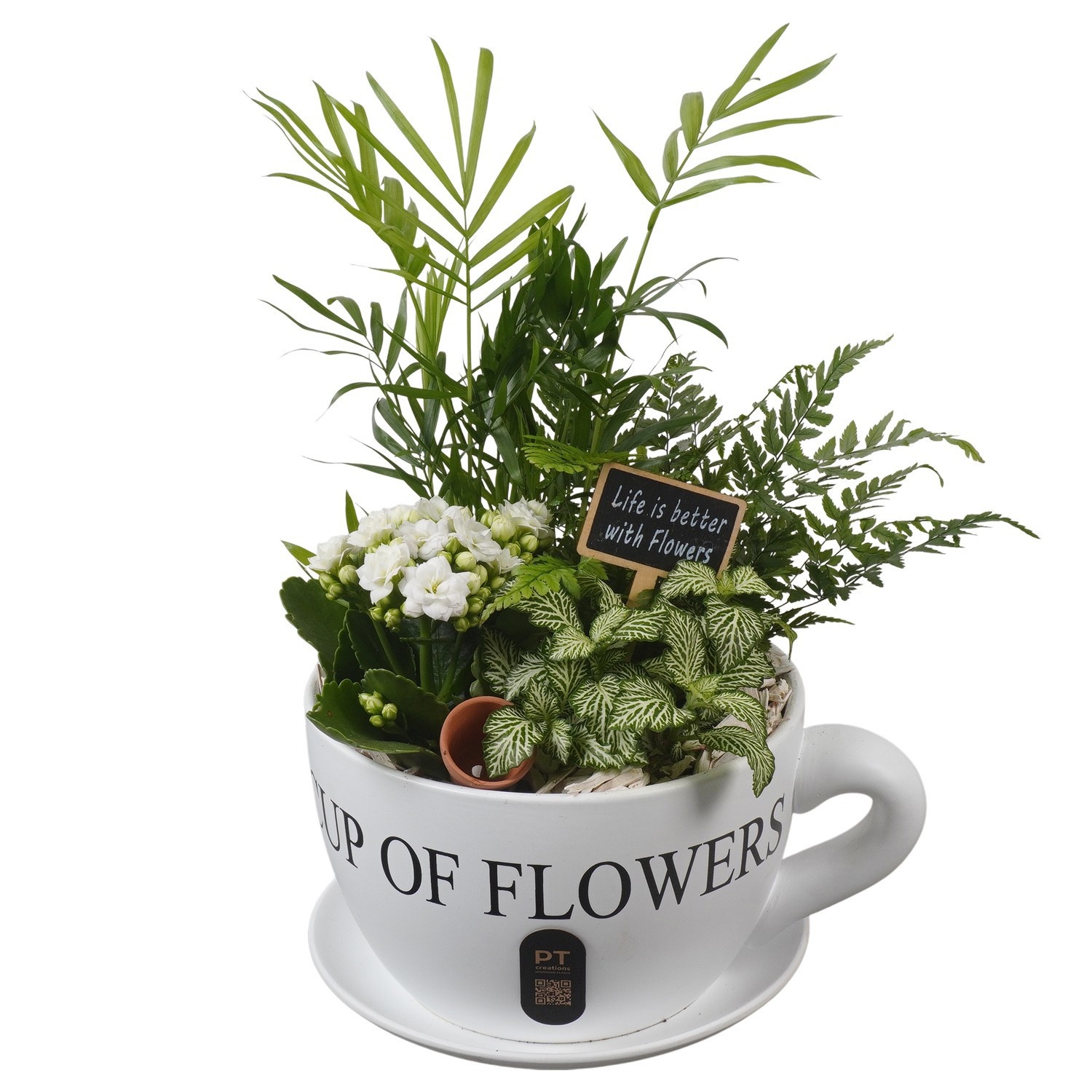 PTIB5196 Arrangement Indoor in keramiek kop en schotel, D 24