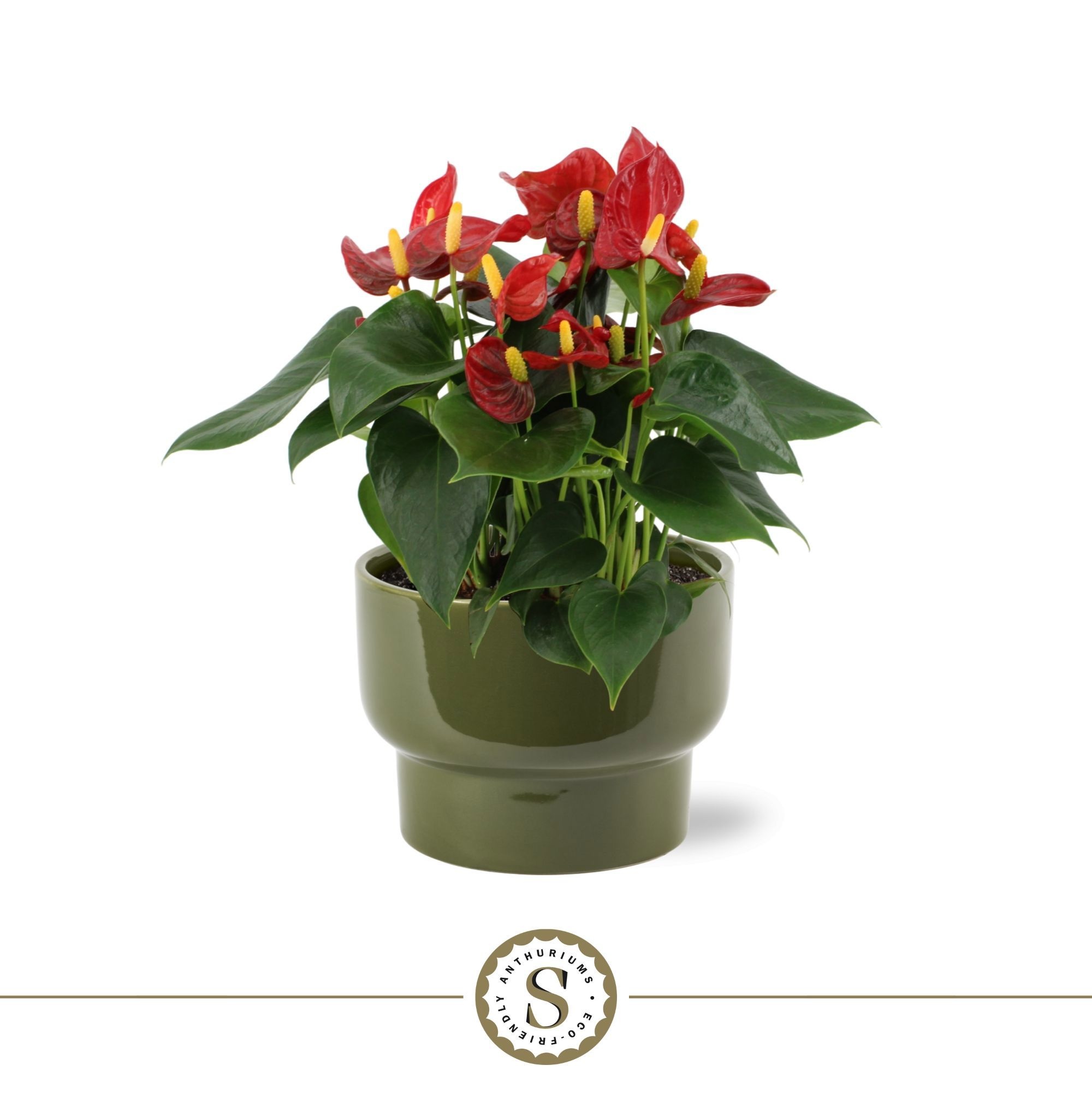 Athene Keramiek Green - Red, D 17