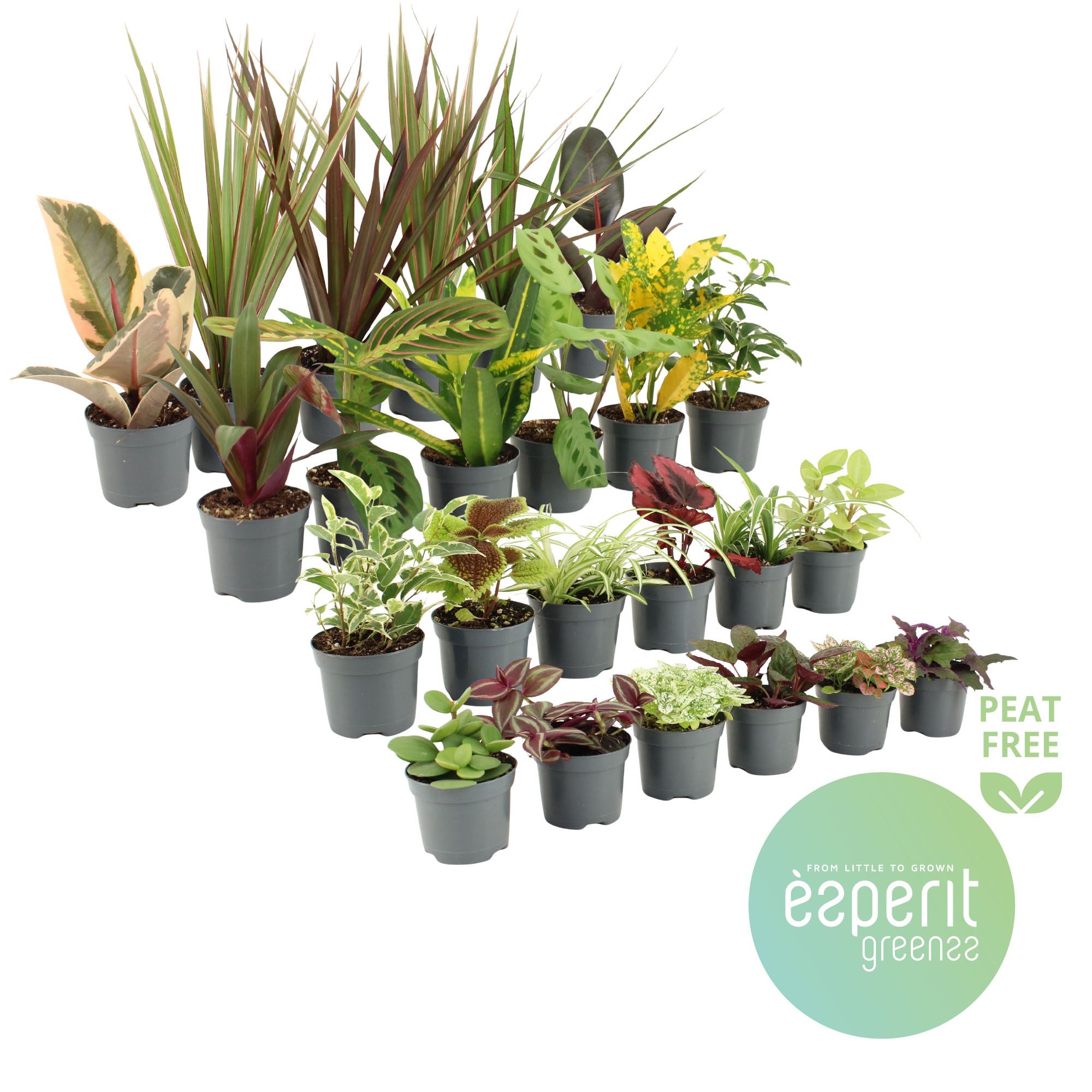 Groenmix Greenss 20-24 srt., D 8,5