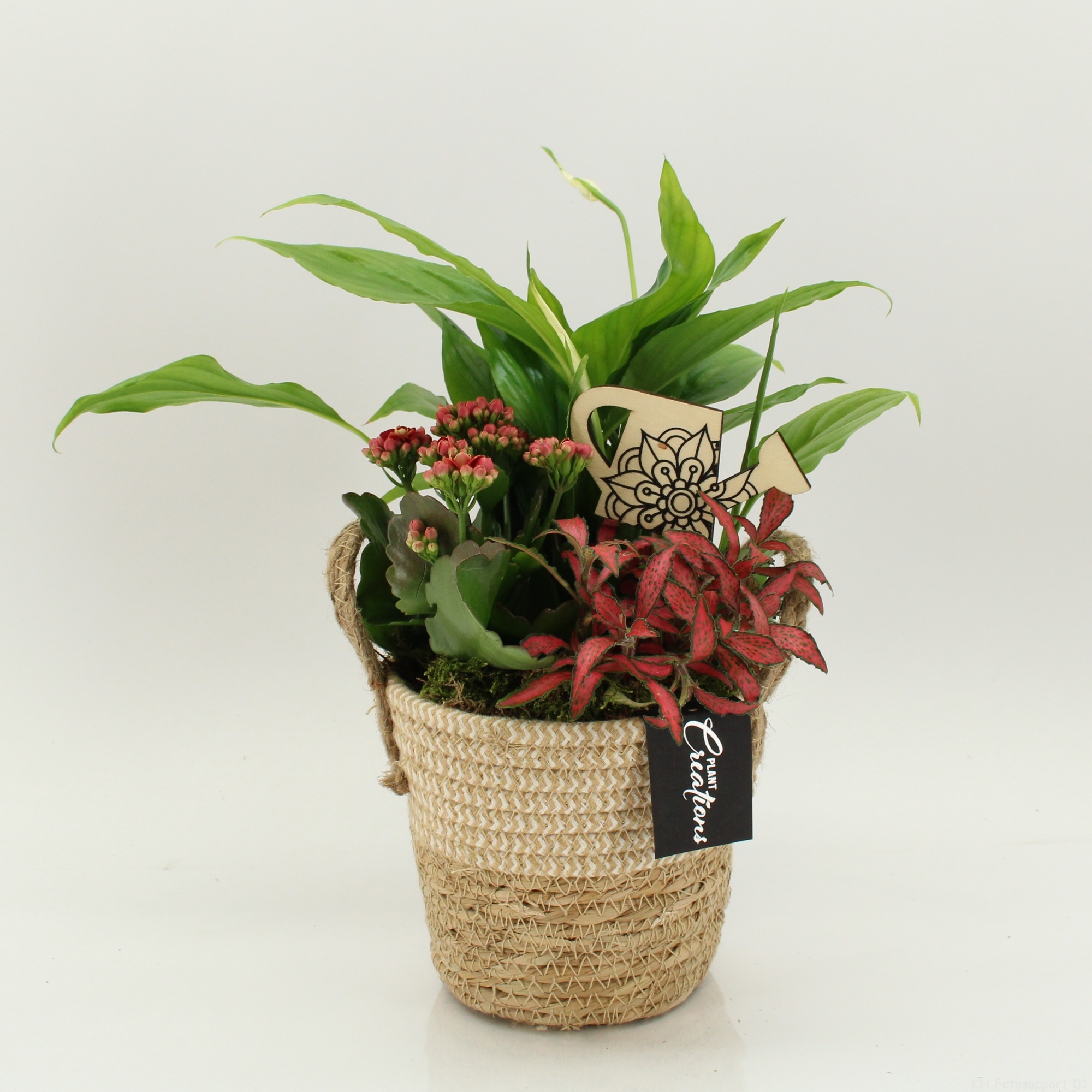 FDCR-2617R Basic Fundamentals, D 14