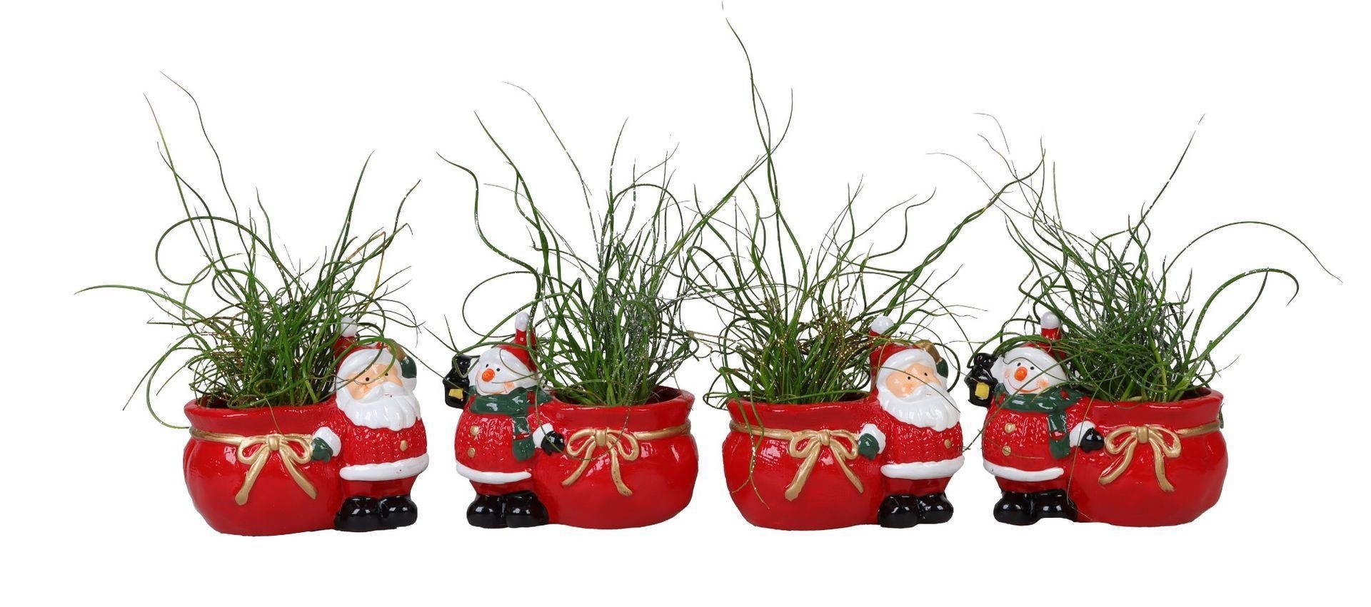 L 66248 With Juncus + Glitter 6 cm, D 6