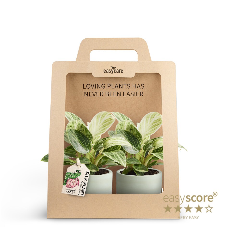 2-Pack Woodbase Green, Peridot, D 7