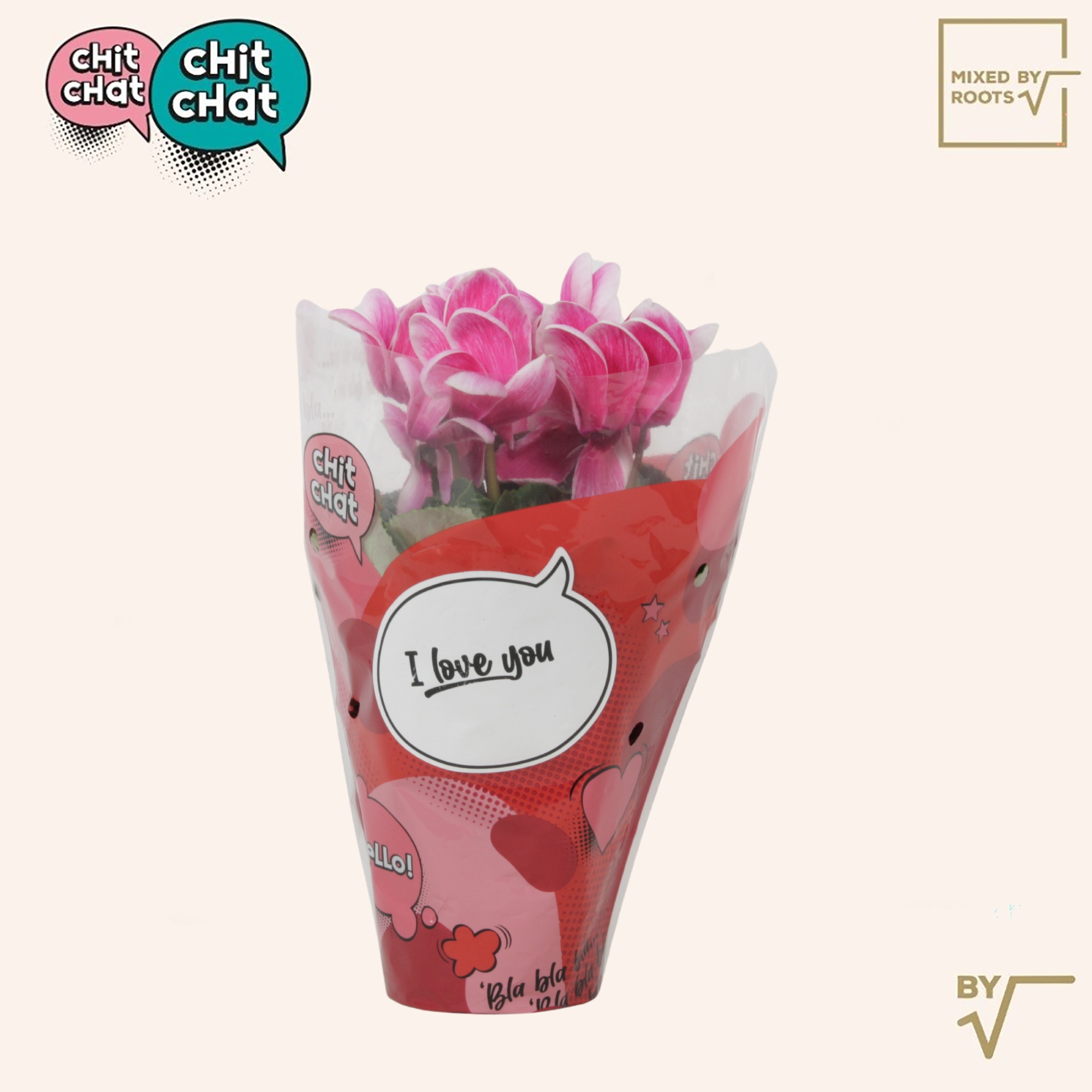 Cyclaam Lovely Moments in Chit Chat hoes, D 12