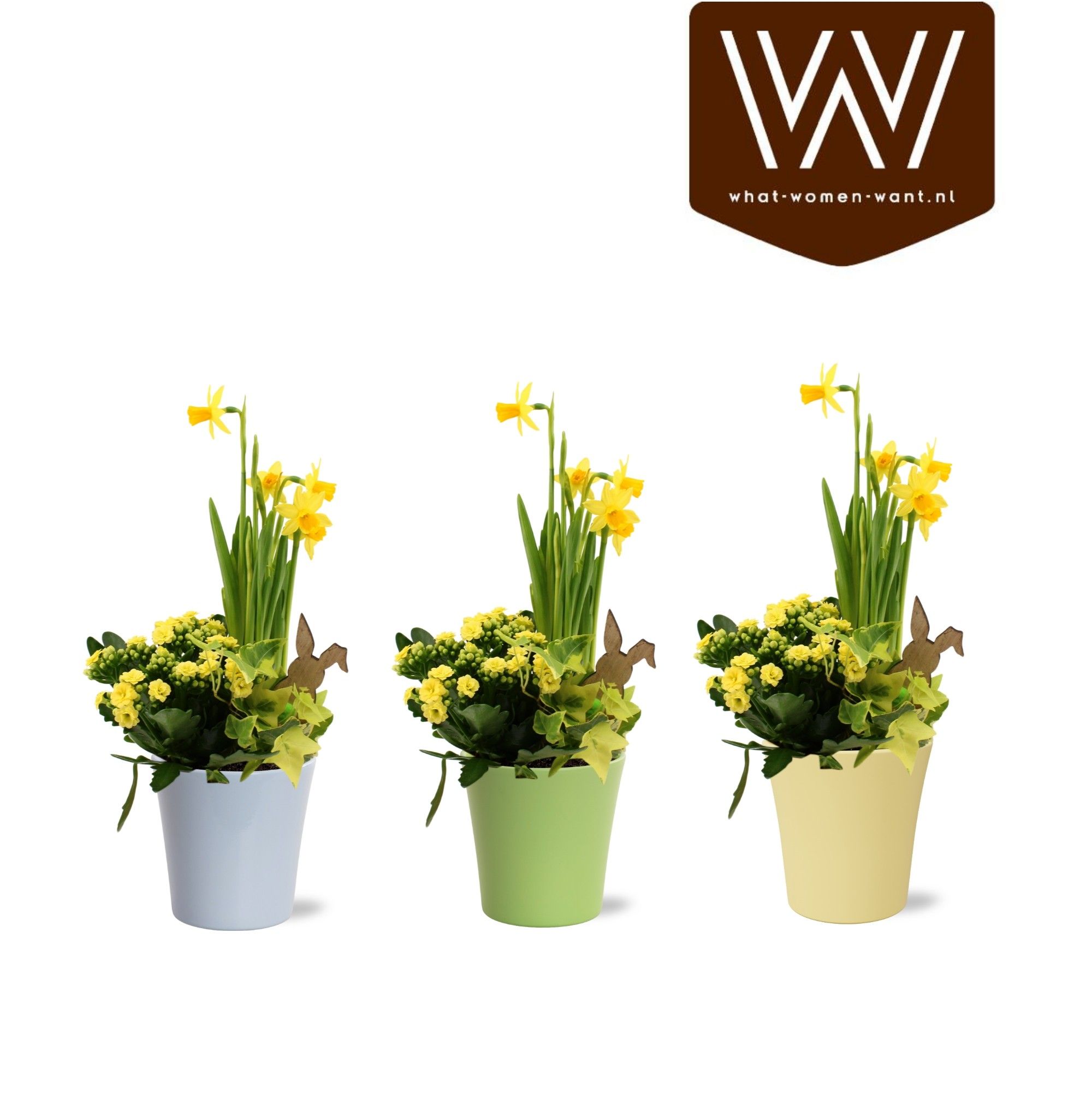 Paas Arrangement keramiek Lotte kalanchoe narcis hedera, D 12