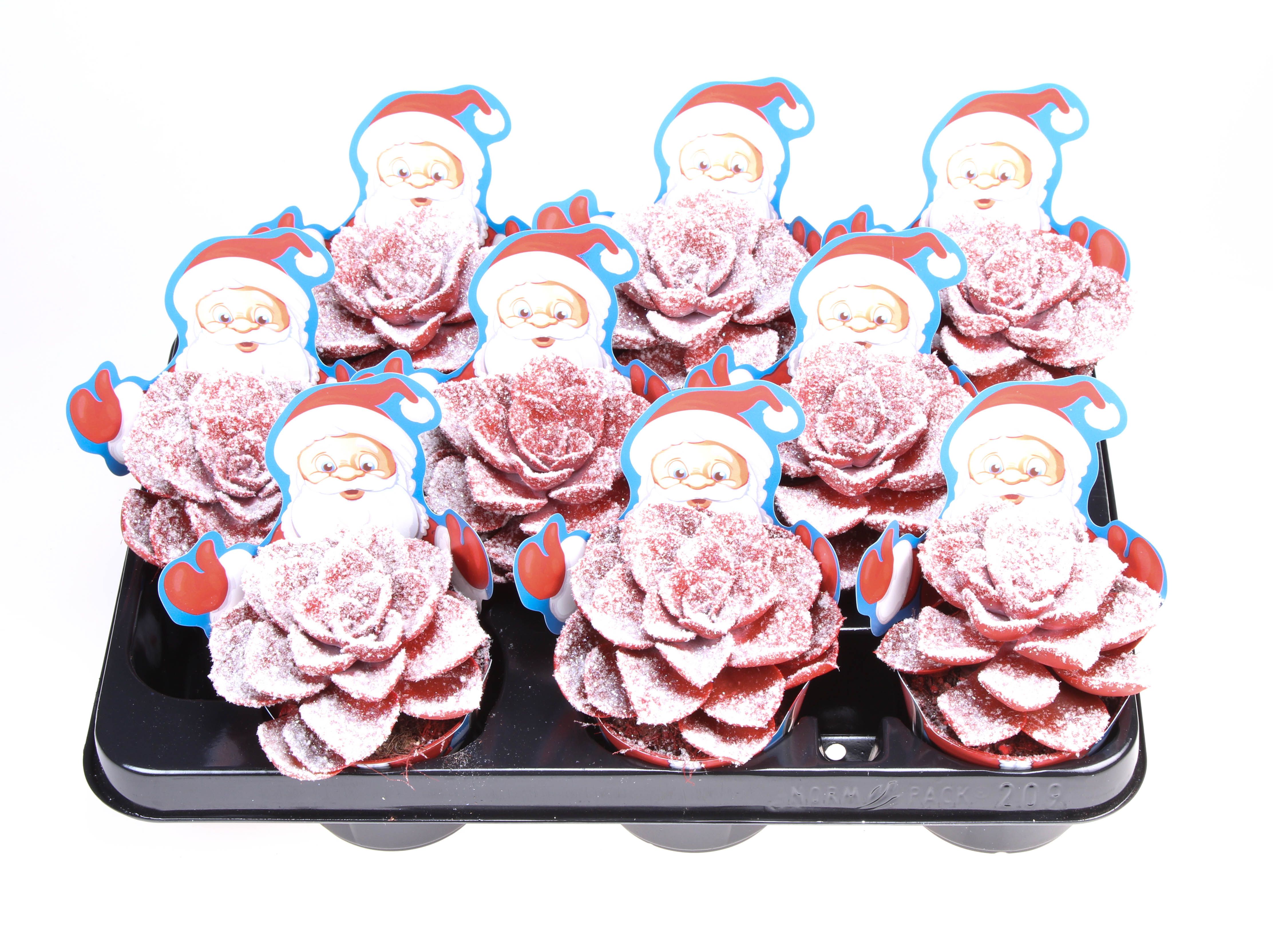 Potcover santaclaus parel snowy + bio snow, D 8,5