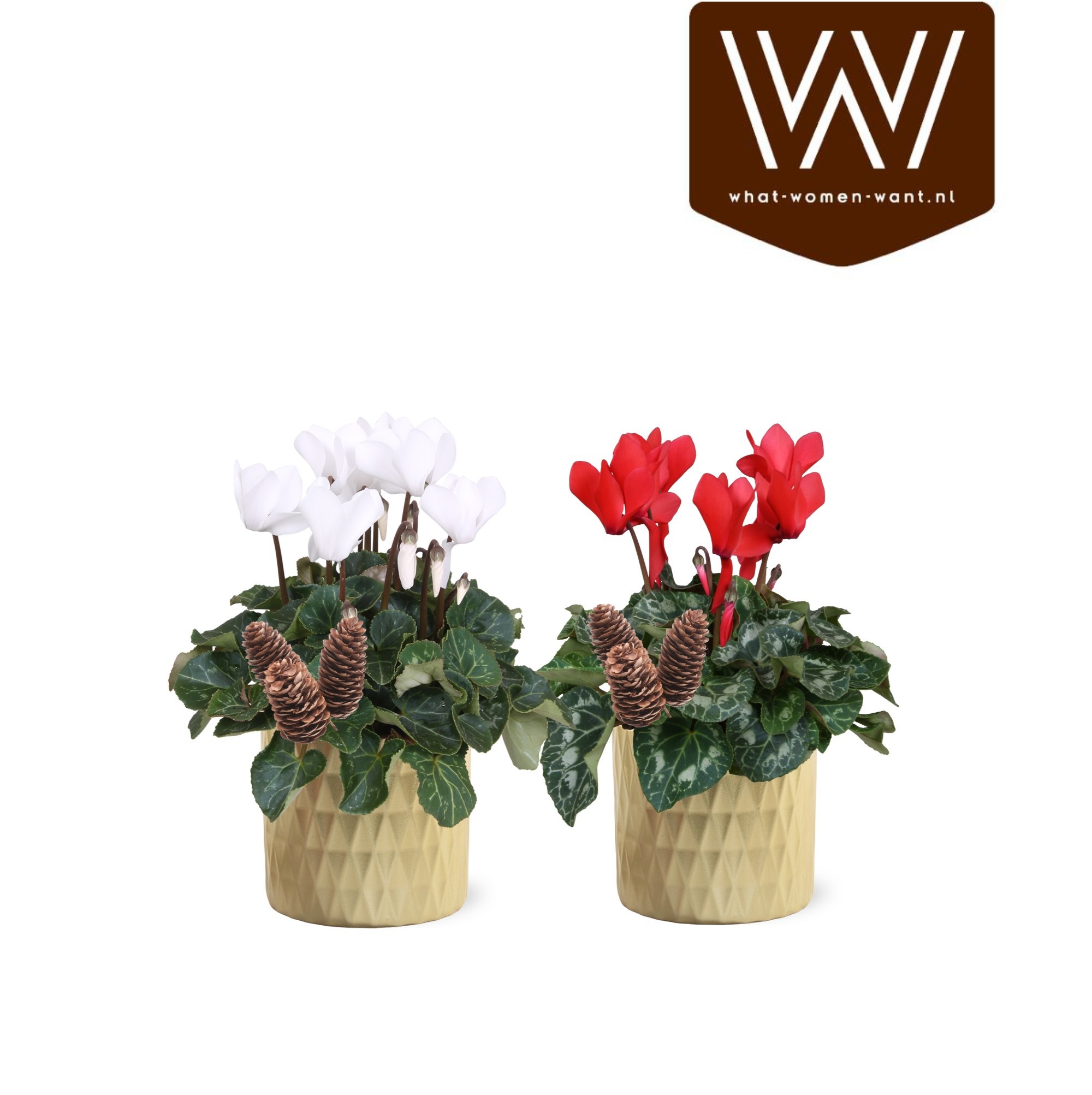 Collectie "Luxury World" Cyclamen rood en wit in keramiek Paige, D 14
