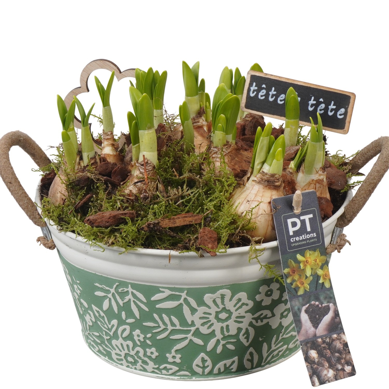 PTN8569 Arrangement Narcissus in zink pot, D 20