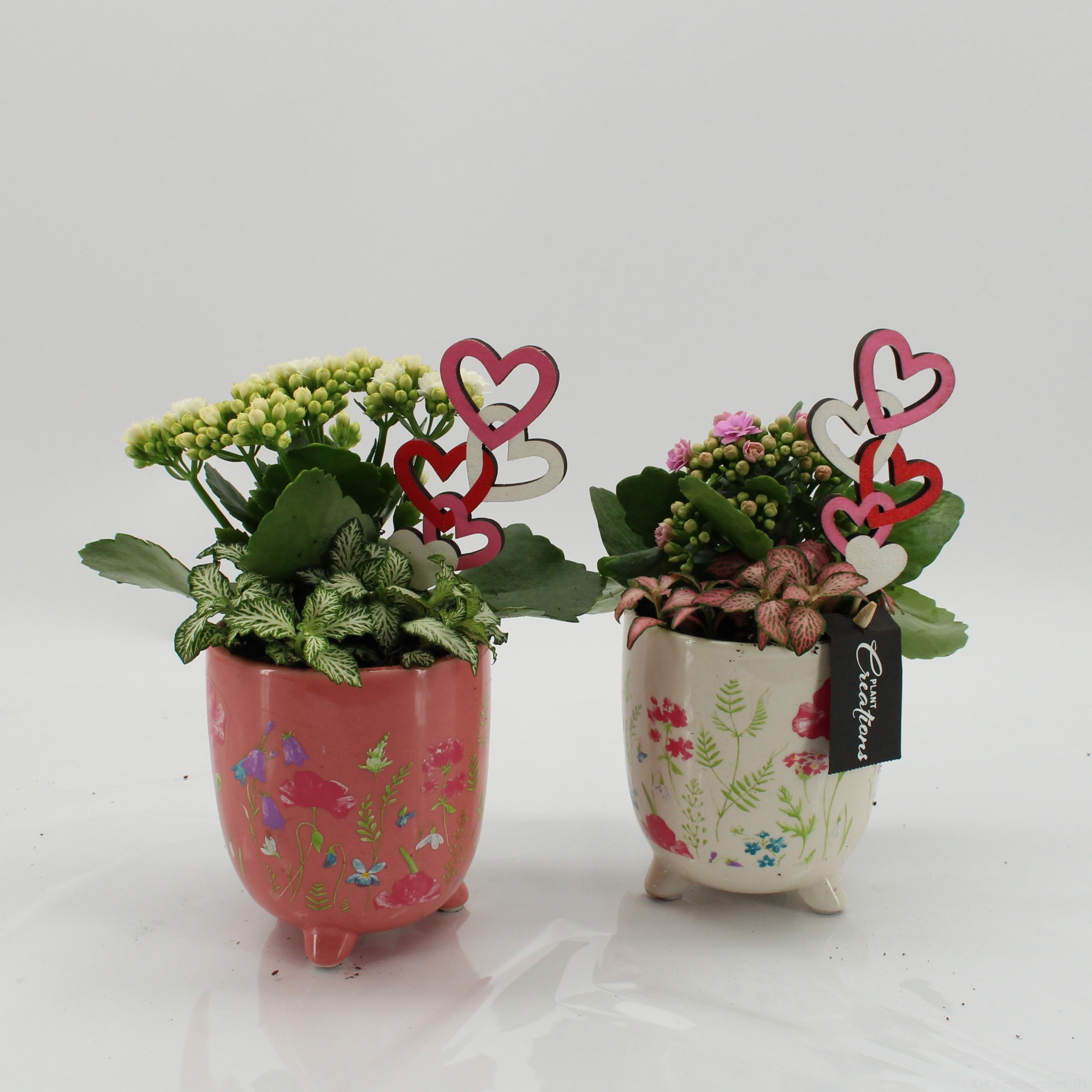 ENMD-2636MA English Mother's Day, D 11