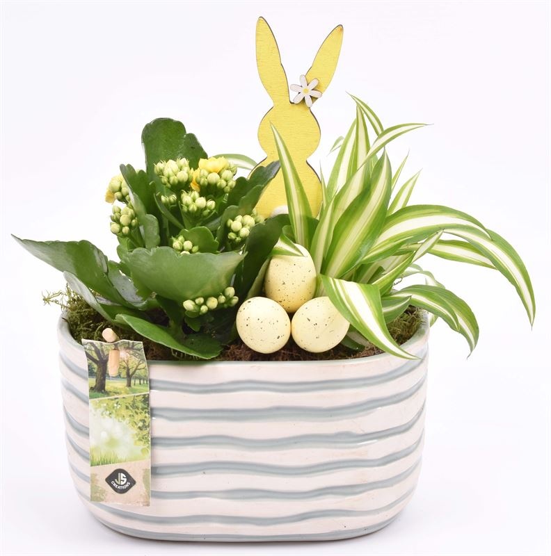 Keramiek ovaal golf 18x10.5cm, D 18