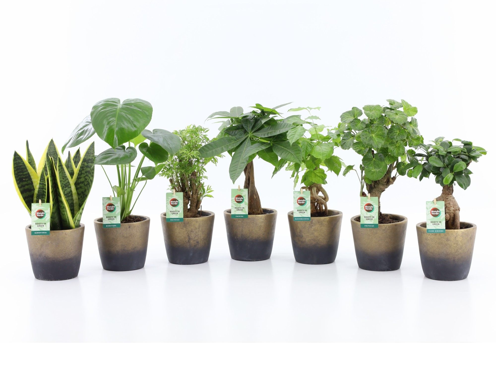 Exotic Green Mix in Lunar keramiek, D 13