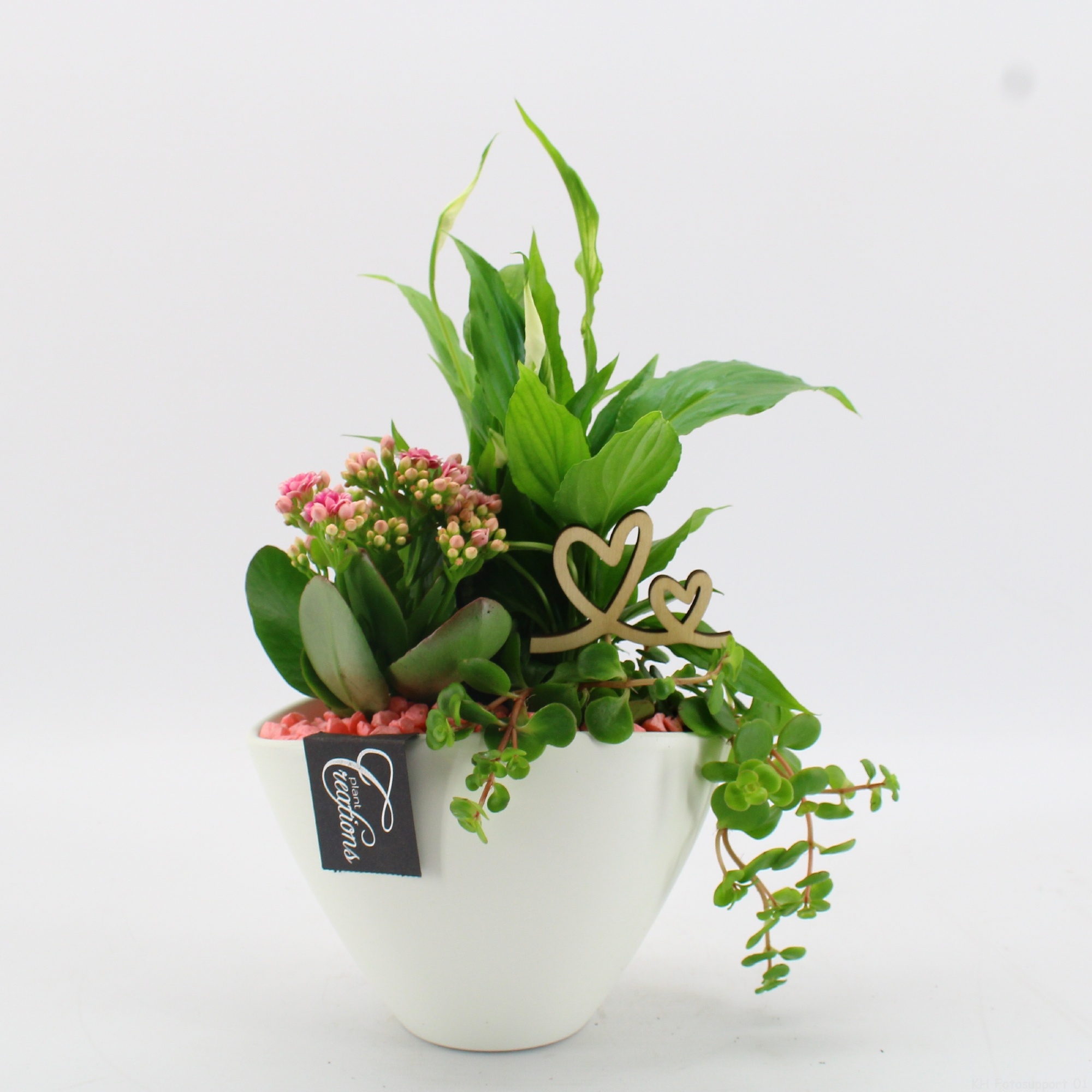 FDRM-2610RZ Romantic Fundamentals, D 18