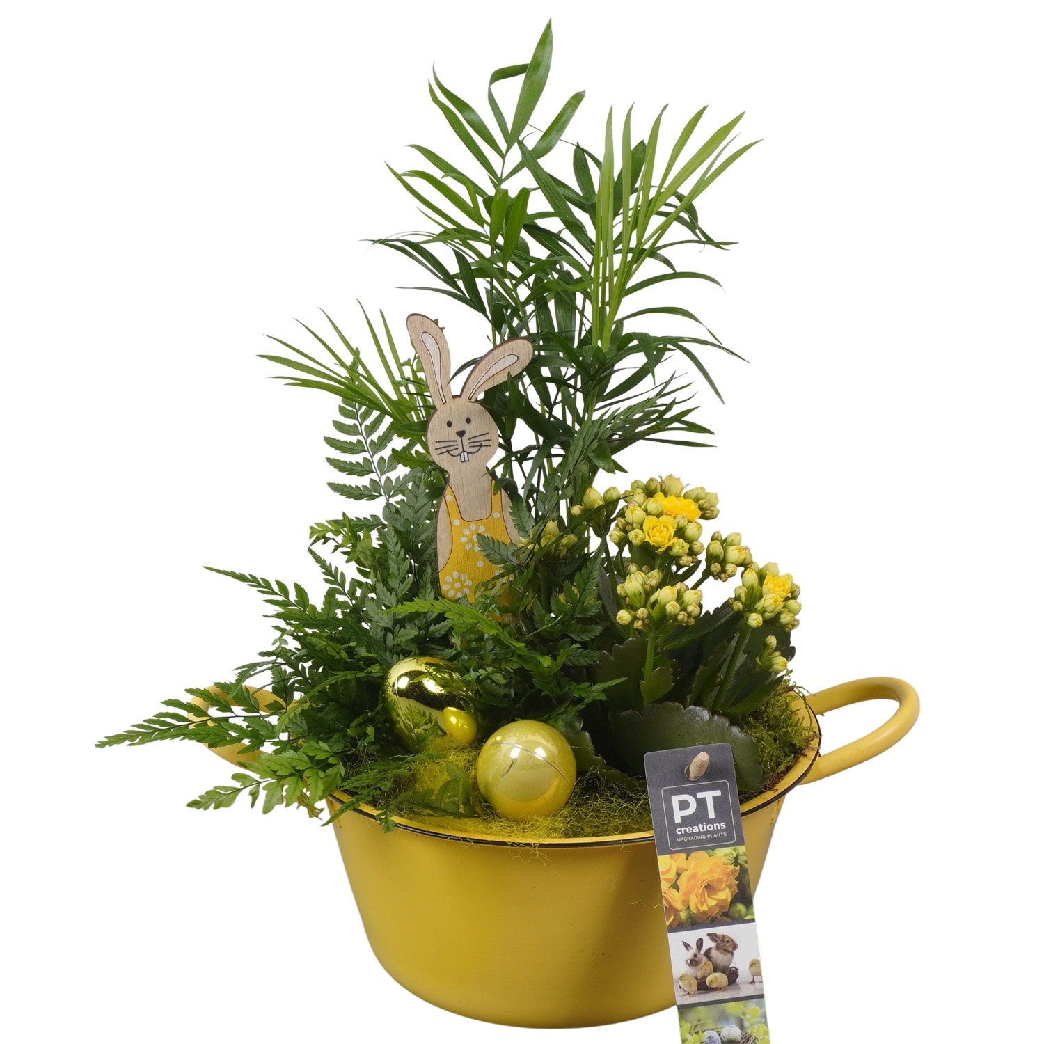 PTPB6416 Arrangement Easter in zink schaal, D 19