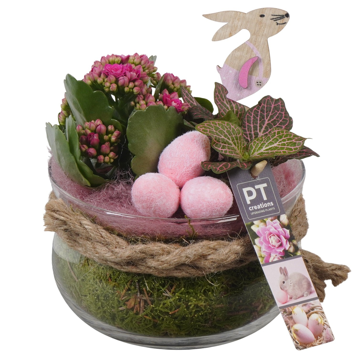 PTPG9303 Arrangement Easter in glasschaal, D 16