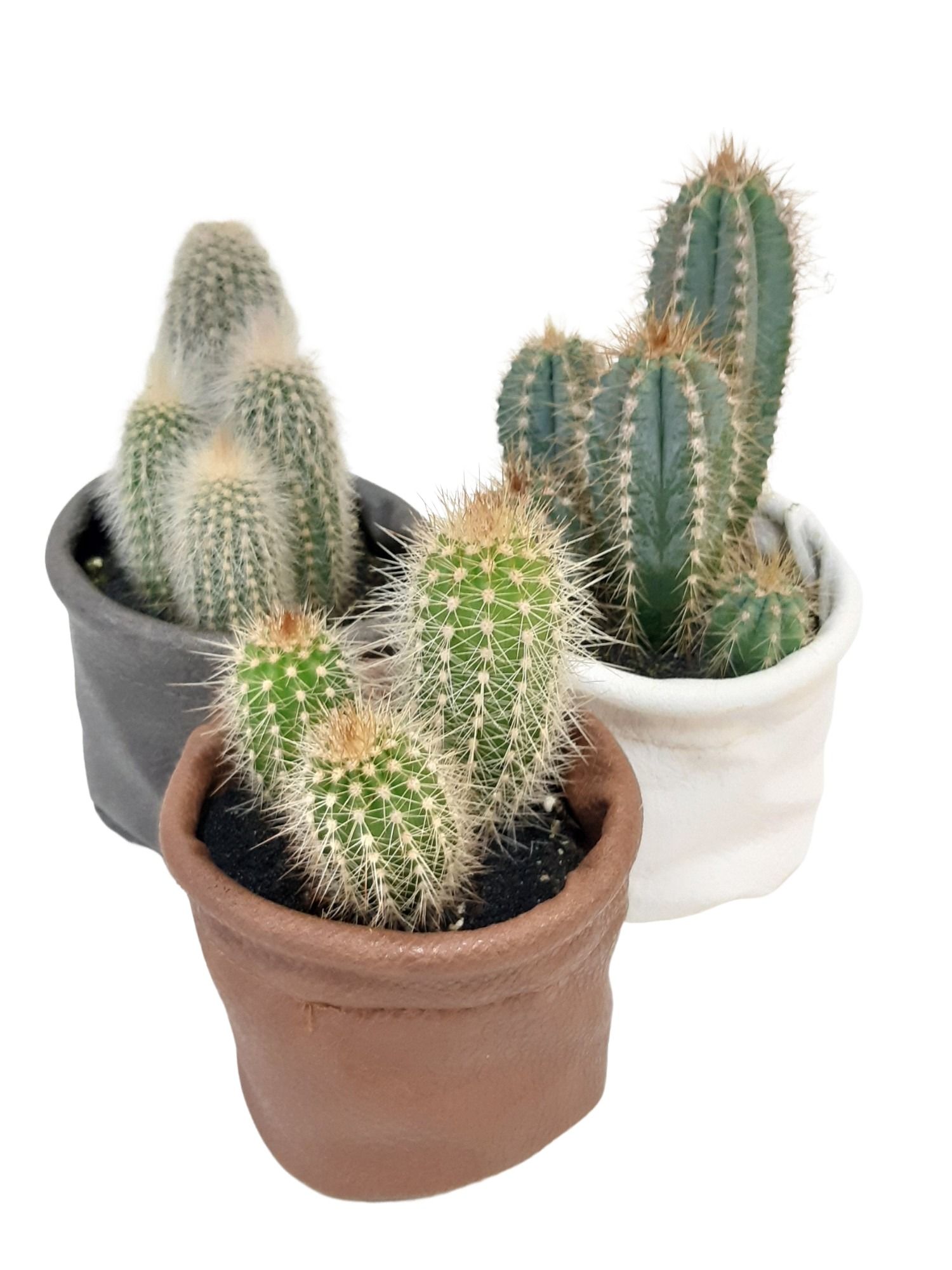 LB8CTS Mini Leather Bag Cactus mix, D 8