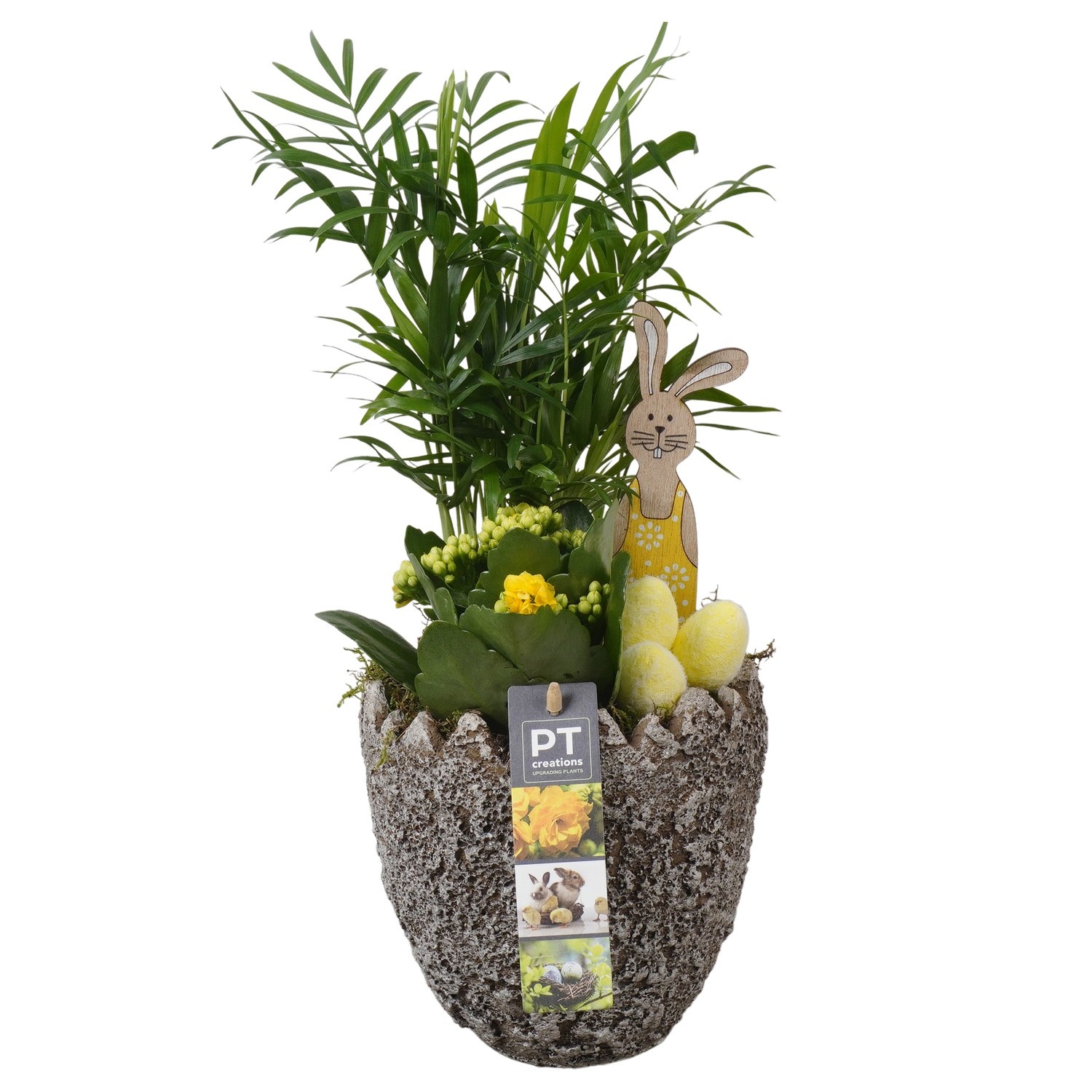 PTPB6604 Arrangement Easter in beton ei, D 14