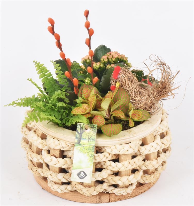 Hout rond met touw 20cm, D 20