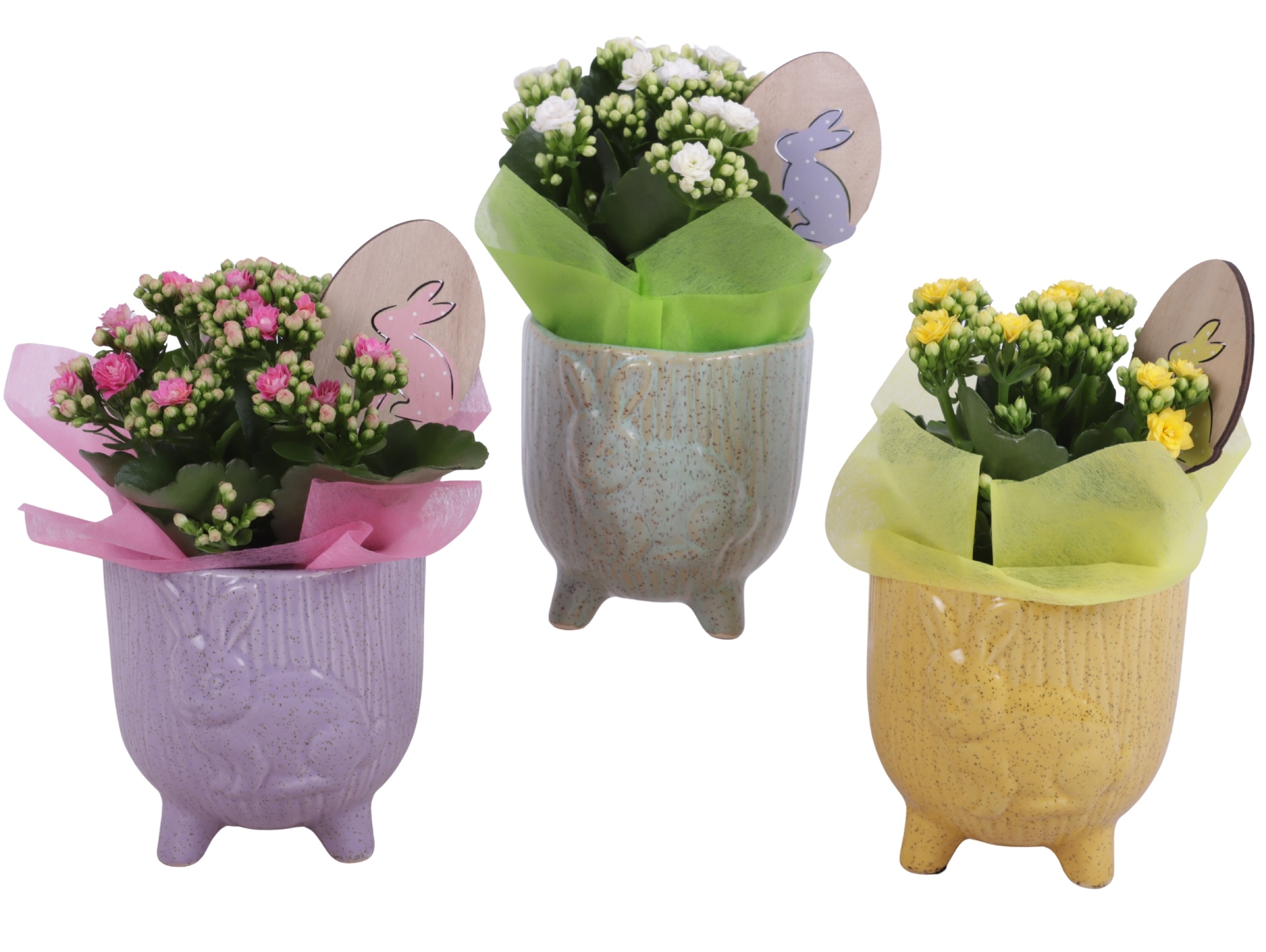Easter Arr. Indoor Ceramic Pot Round Rabbit Feet Ø11cm 1PP, D 11