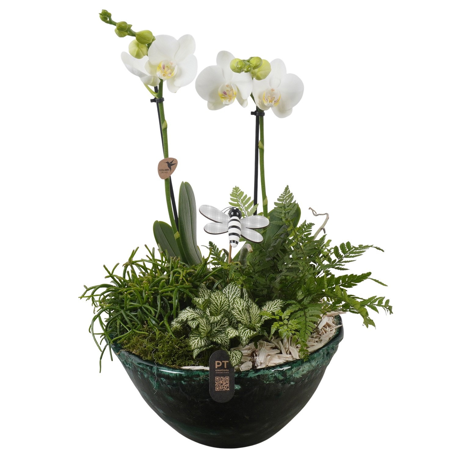 PTIG2718 Arrangement Indoor in glas schaal, D 26