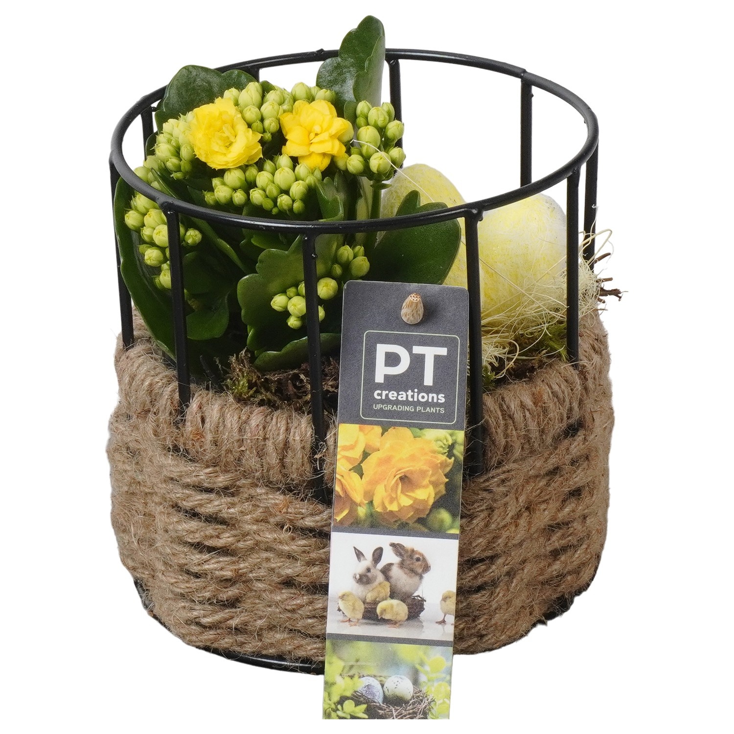 PTPB6570 Arrangement Easter in touw mand met metaal, D 12