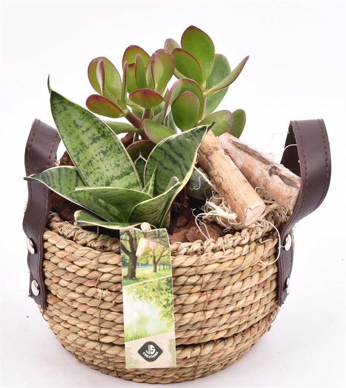 Touwmand met leer handv.16-18cm, D 18