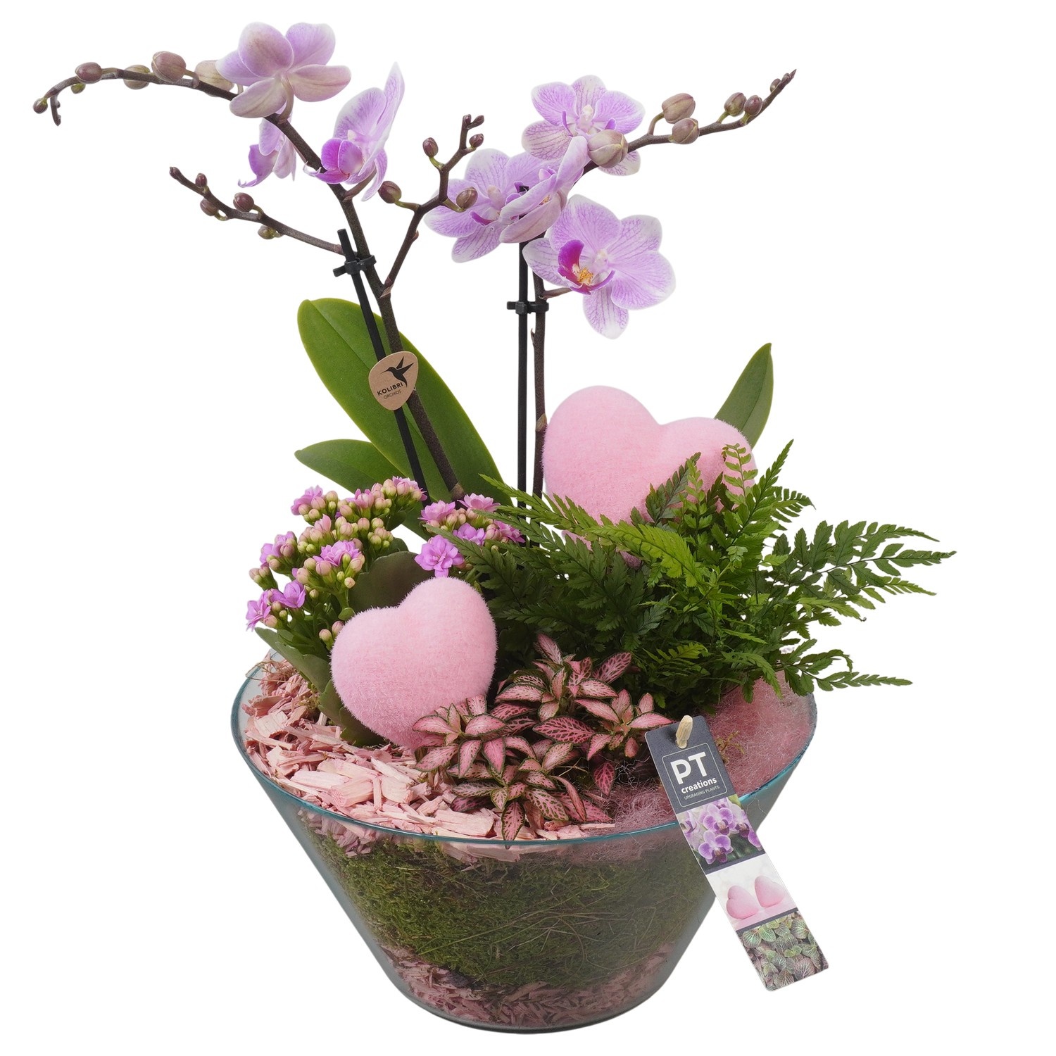 PTVMG4951 Arrangement Valentines-Mothersday in glas schaal, D 26