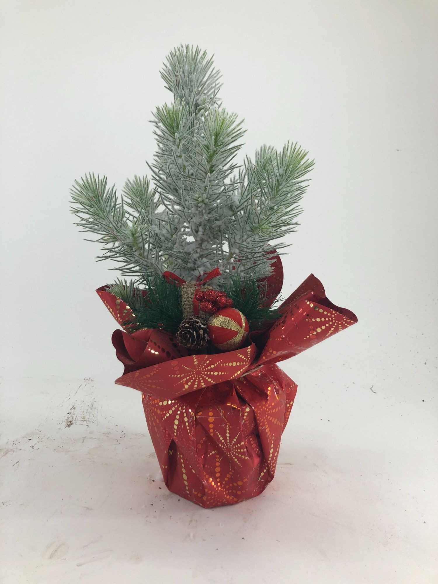 TDM P10.5 : 25ELL12 Pinus P10,5 Kerst Toef Snow, D 10,5