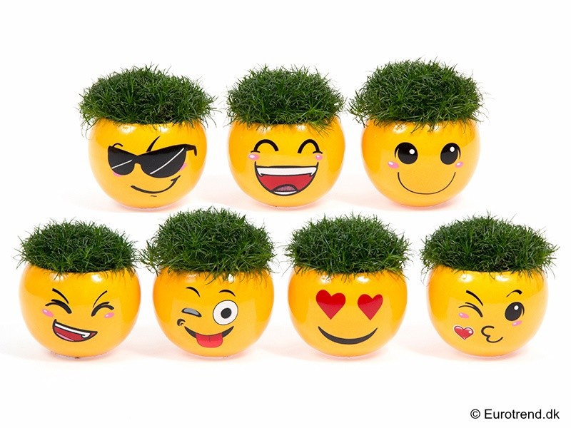 SAGINA PROCUMBENS E 2976, D 6