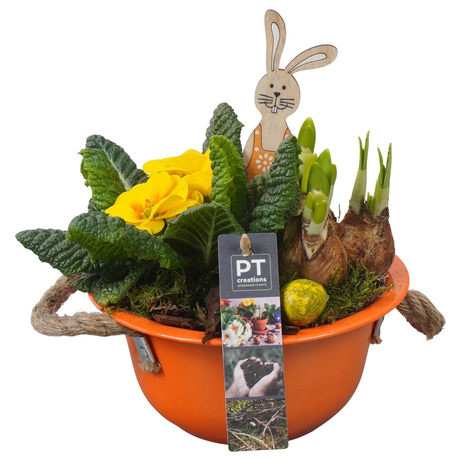 PTBMP5607 Arrangement Easter Bulbs Mix in zink schaal, D 18