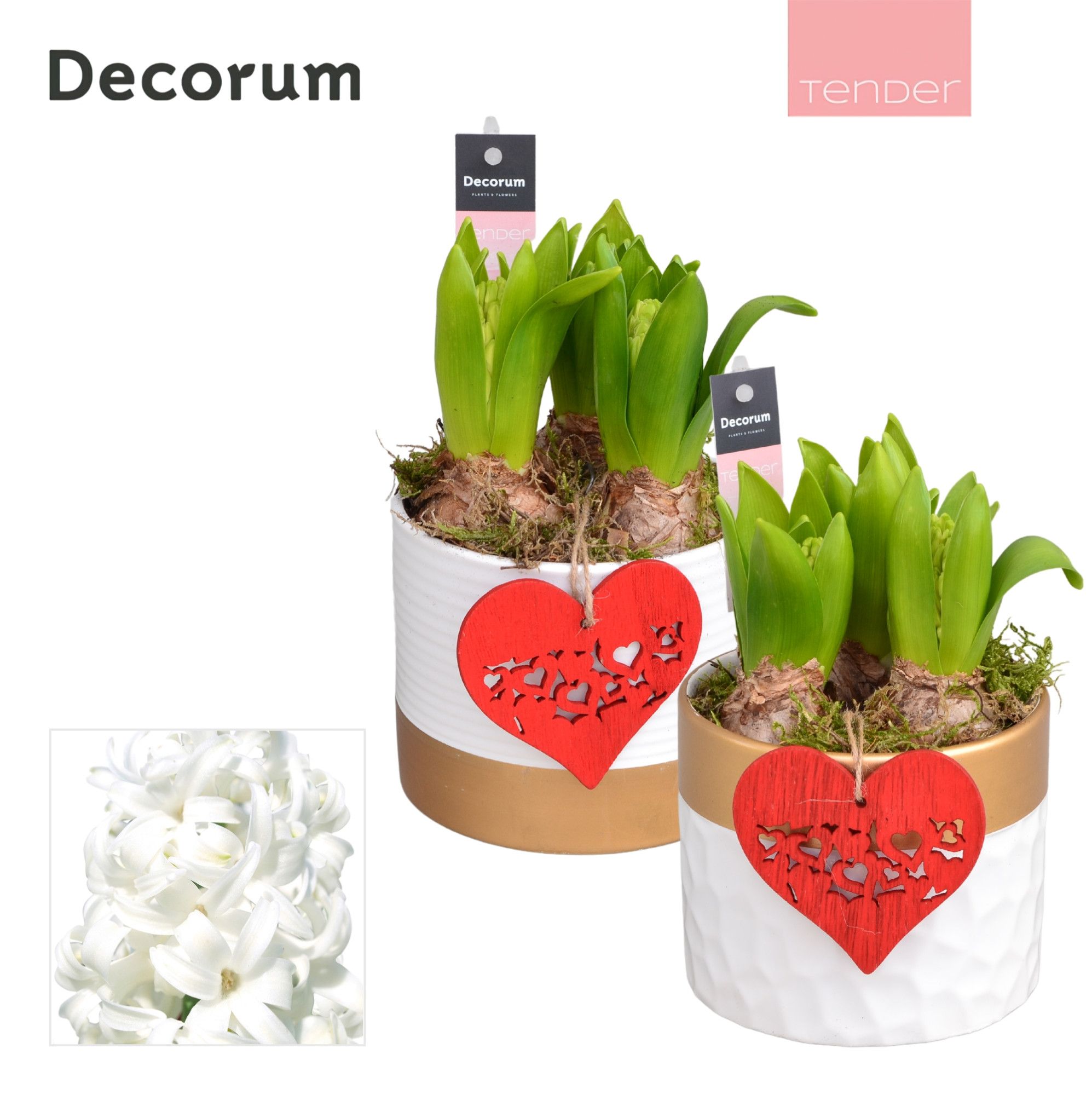 Hyacint Wit Goud Keramiek HL13224WP [TENDER], D 13