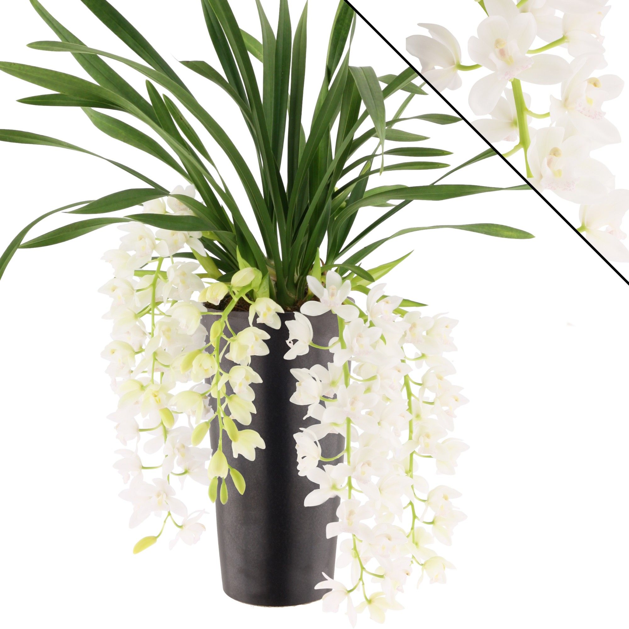 Ice Cascade, 5-7 tak incl. keramiek antraciet, D 14