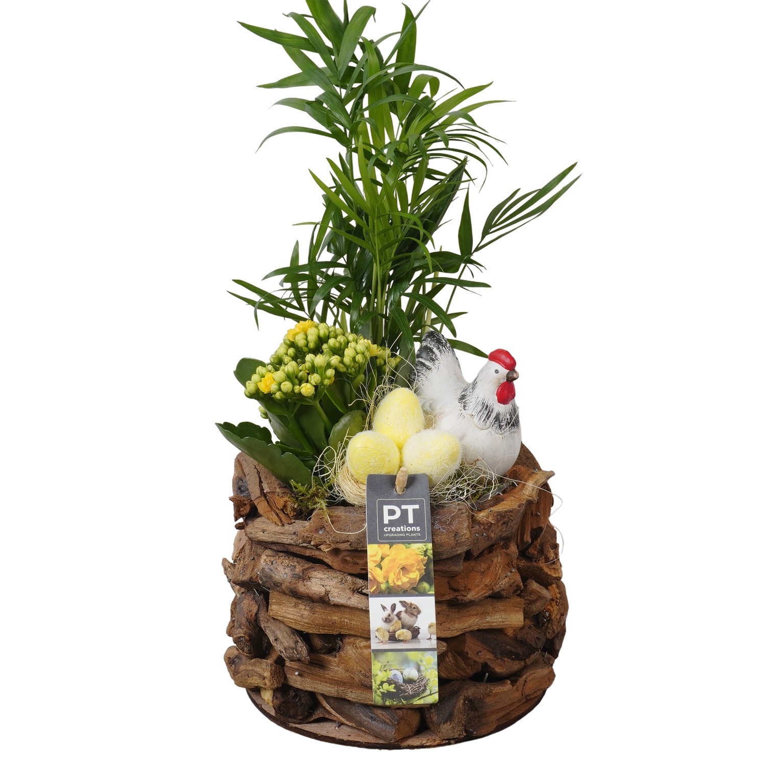 PTPB6584 Arrangement Easter in houten bak, D 17