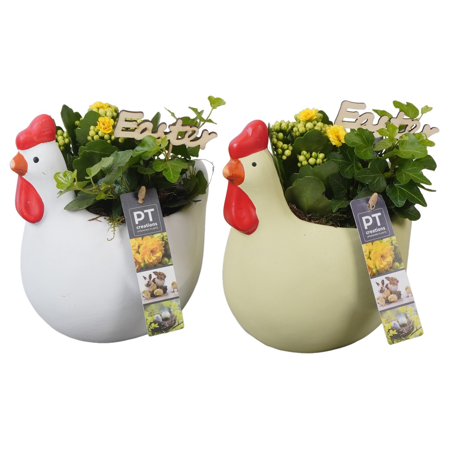 PTPB6610 Arrangement Easter in keramiek kip, D 17