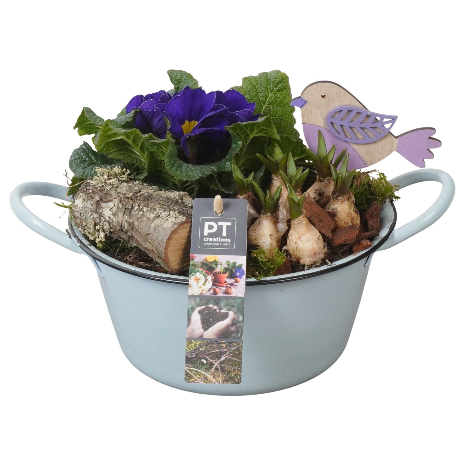 PTBM3729 Arrangement Flower Bulbs Mix in metalen schaal, D 19