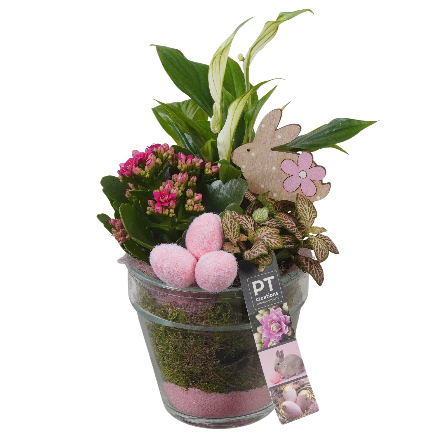 PTPG9397 Arrangement Easter in glas vaas, D 13