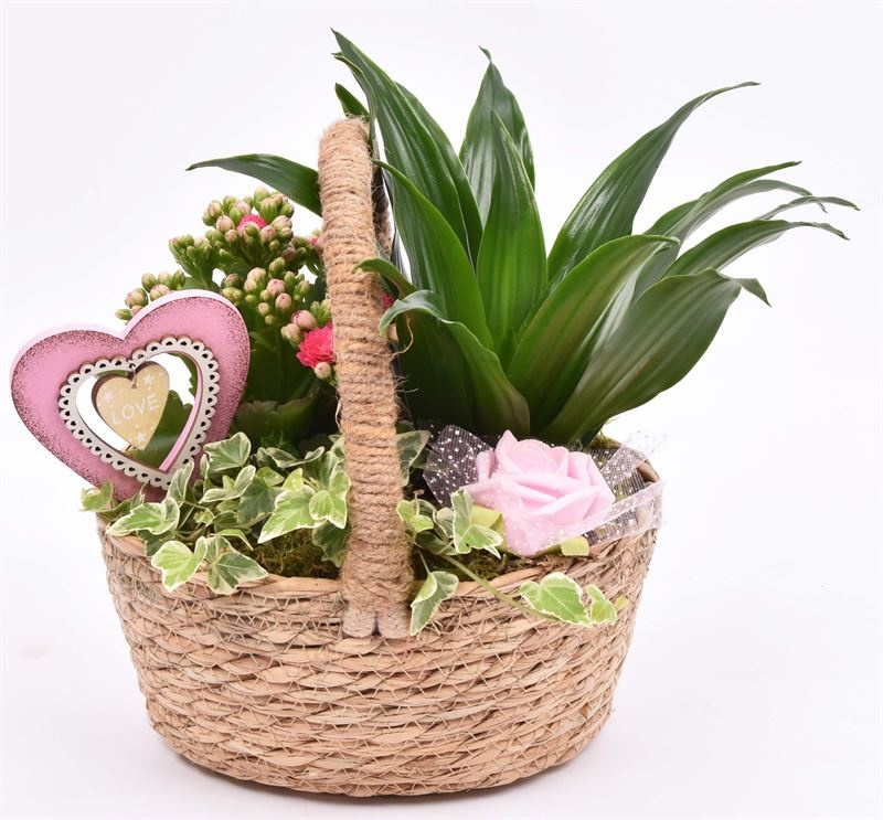 Natuur hengselmand 22x19cm, D 19