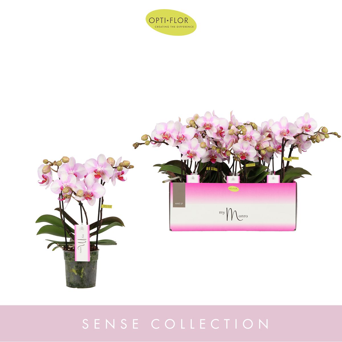 MyMonro Make-up 3 spike, D 12 cm