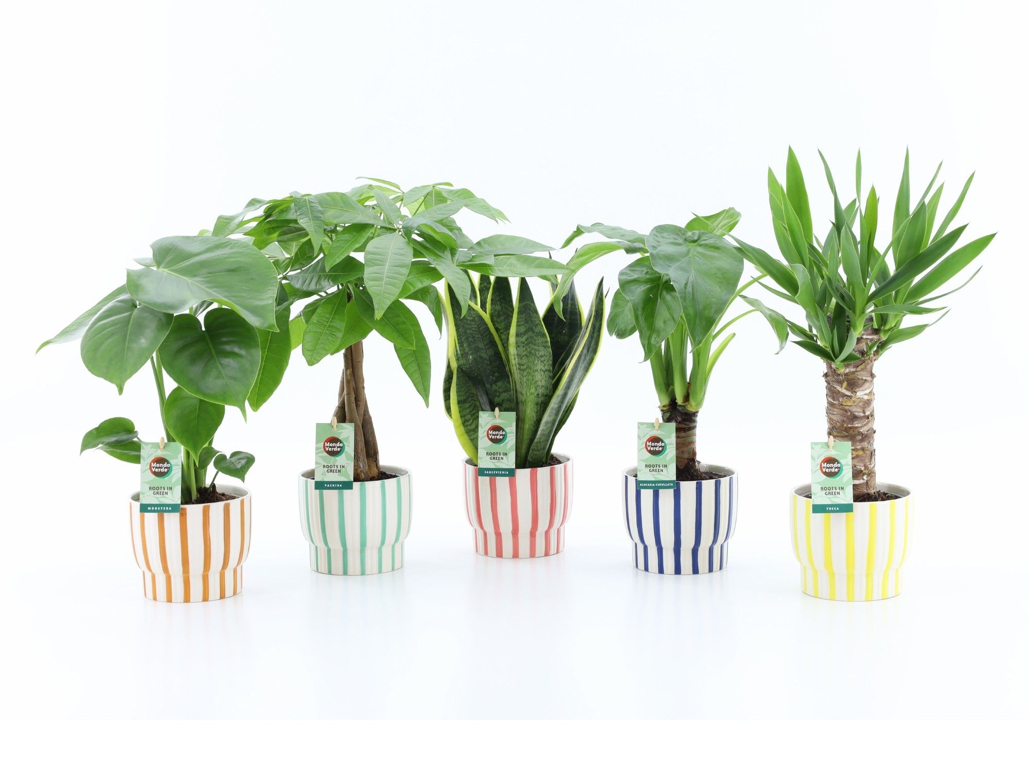 Tropic Mix in Pastel Stripe keramiek, D 13