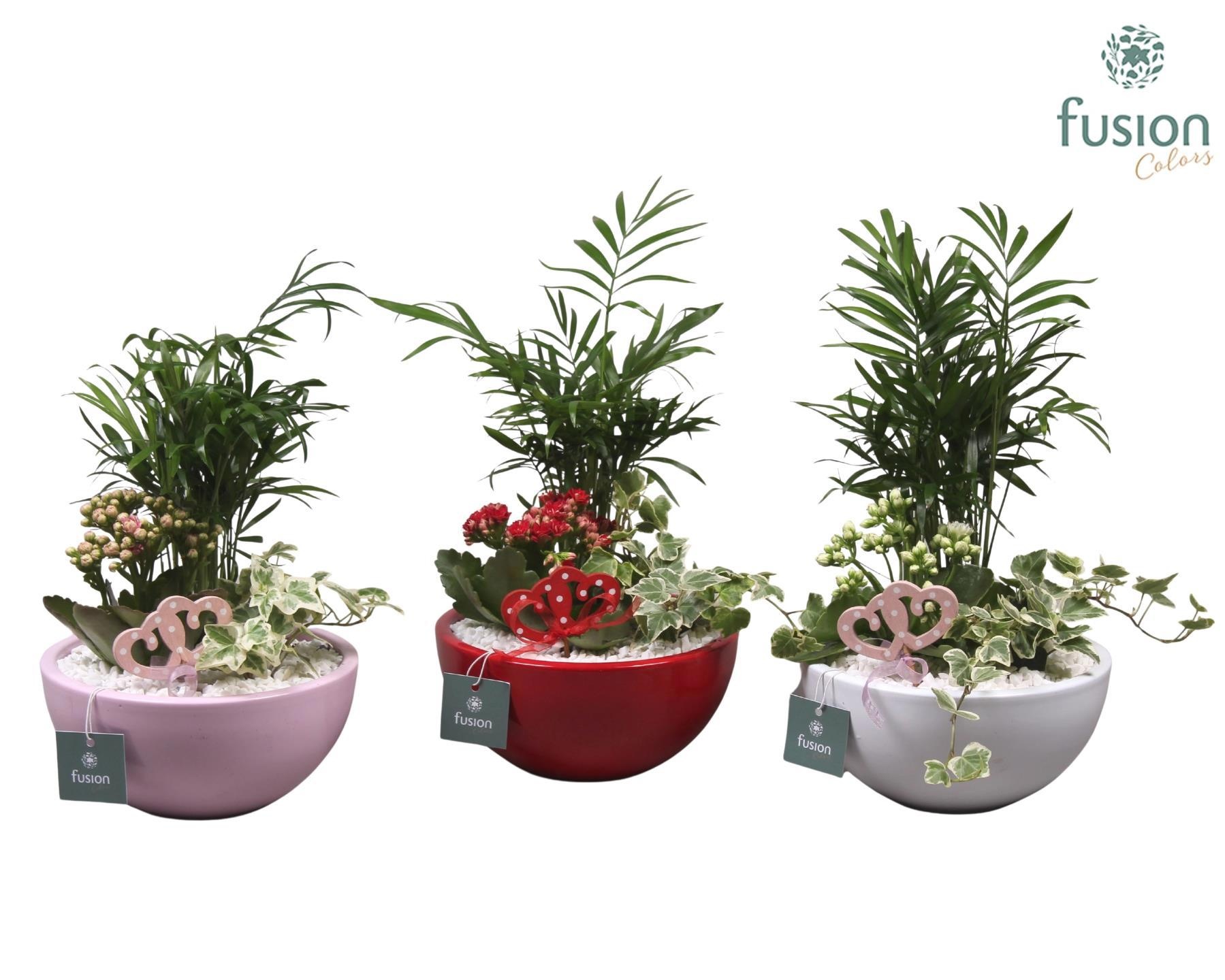 Keramiek moon 3 assortie met arrangement D18, D 18