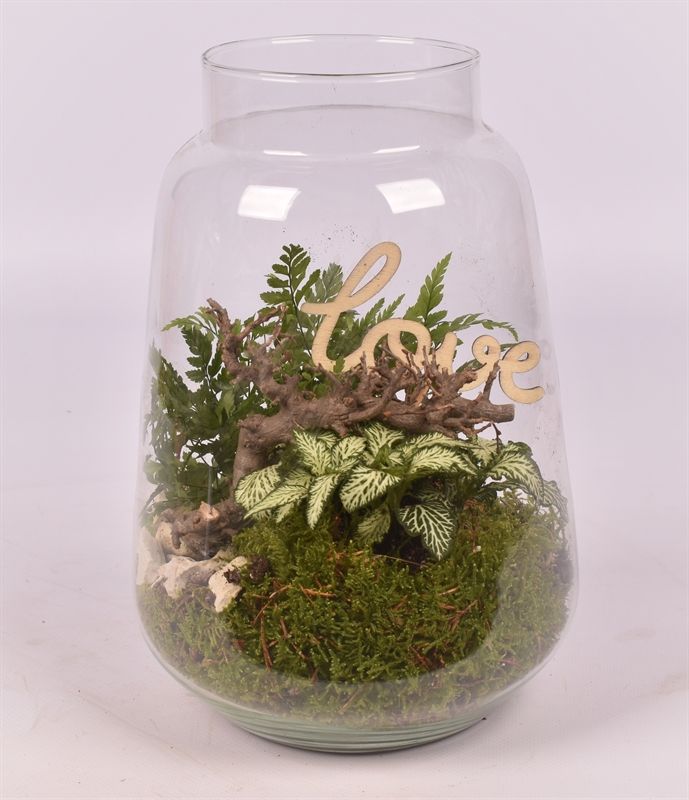 Glas cilinder Zef met hals 16cm, D 16