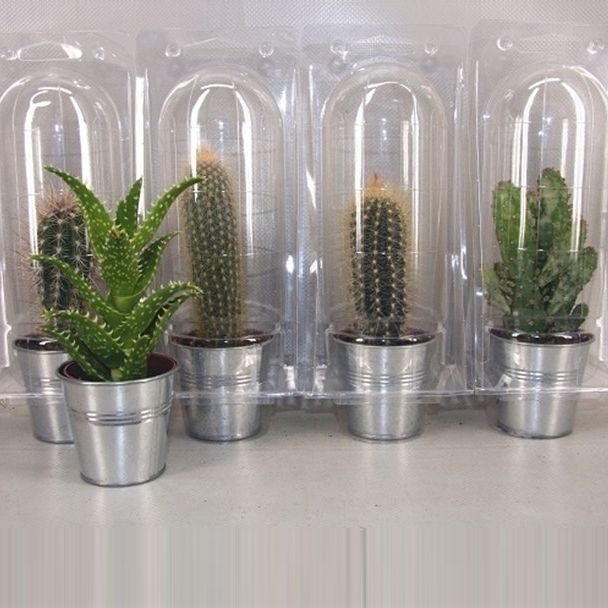 360 Zink pot solo blister cac 6,5 cm, D 7,5