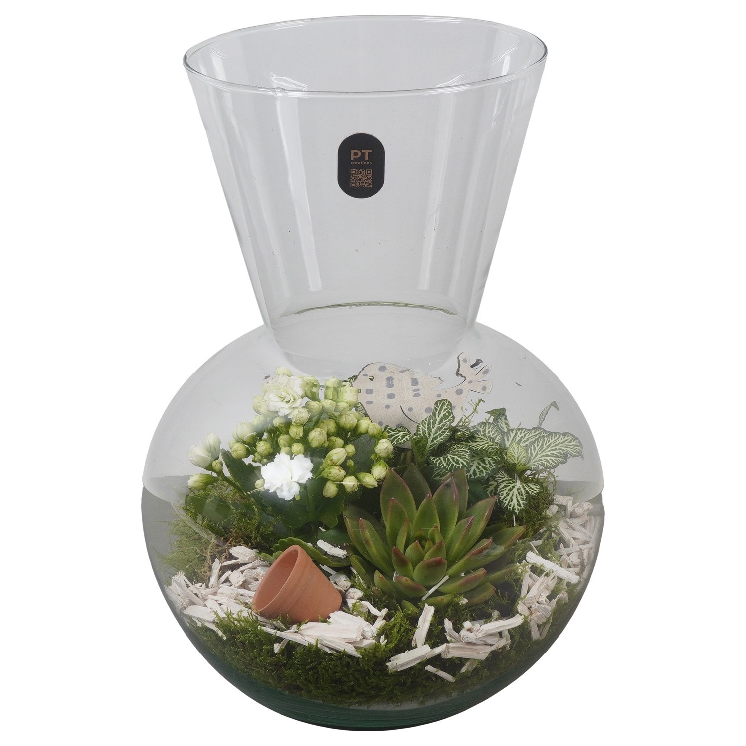 PTIG2631 Arrangement Indoor in glazen vaas, D 21