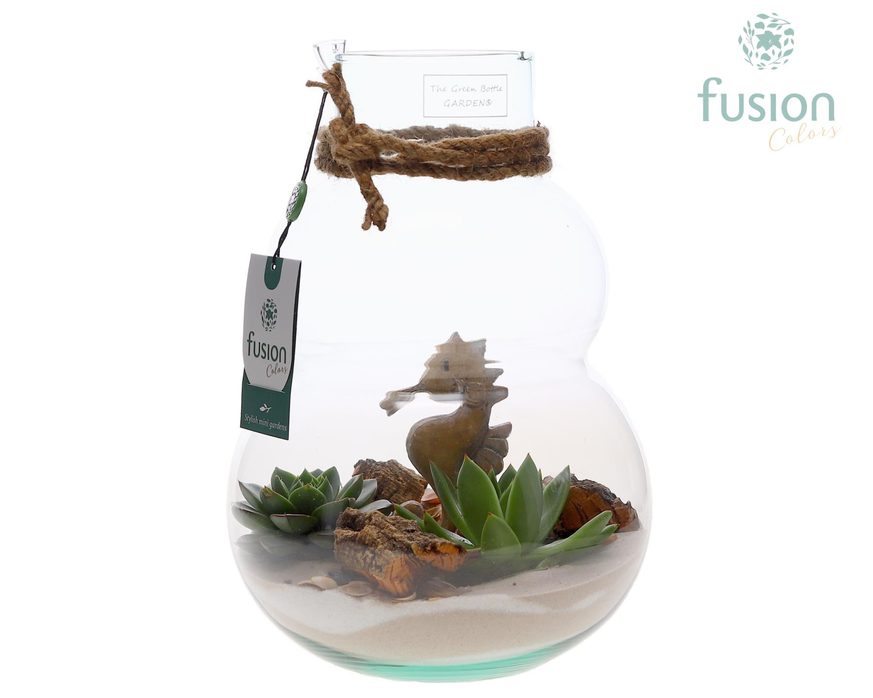 Green Bottle Olaf Medium met Maritiem arrangement, D 21