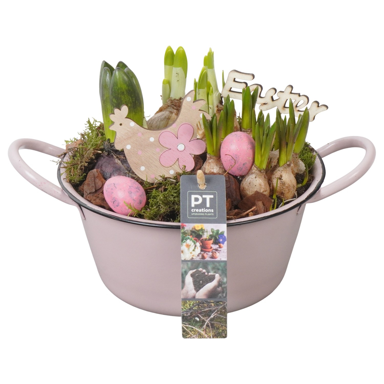 PTBMP5625 Arrangement Easter Bulbs Mix in zink schaal, D 19