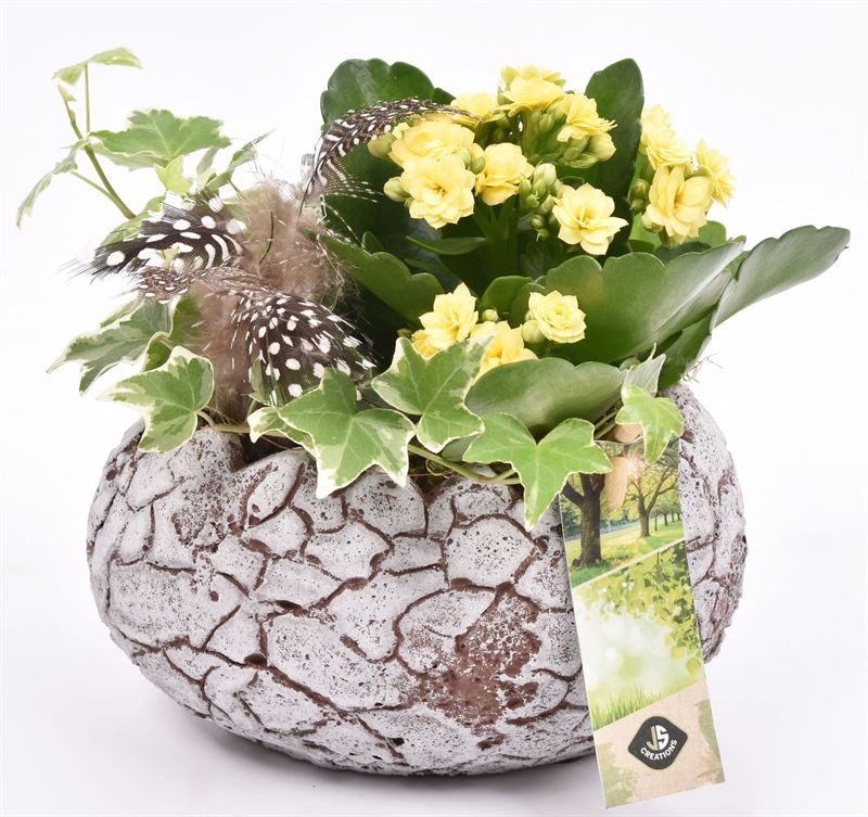 Cement ovaal ei 17xx11cm, D 17