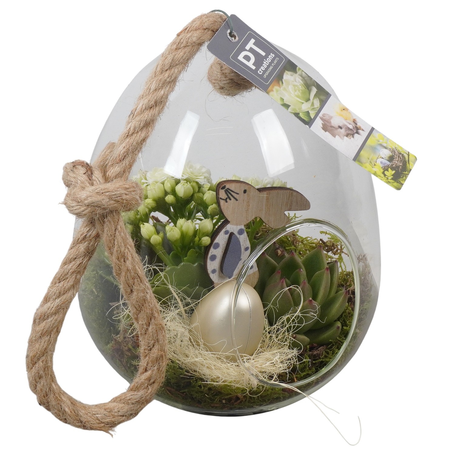 PTPG9311 Arrangement Easter in glas vaas, D 15