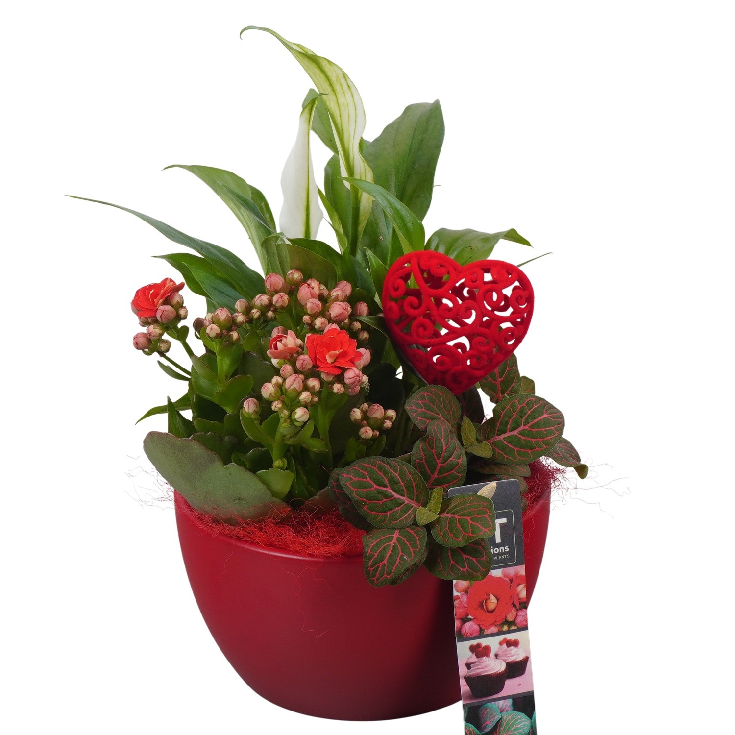 PTVMB2204 Arrangement Valentines-Mothersday in keramiek schaal, D 16